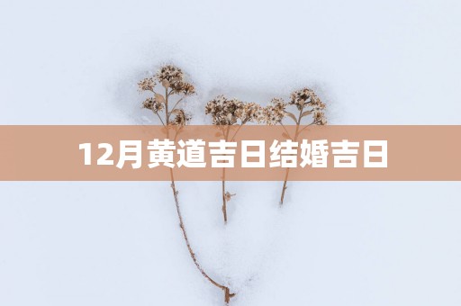 12月黄道吉日结婚吉日