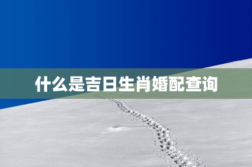 什么是吉日生肖婚配查询
