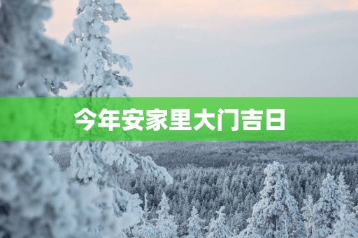 今年安家里大门吉日