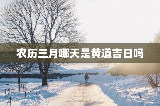 农历三月哪天是黄道吉日吗