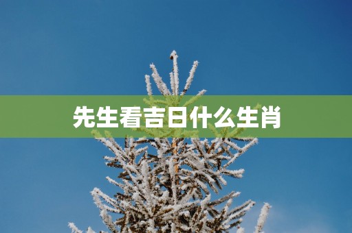 先生看吉日什么生肖
