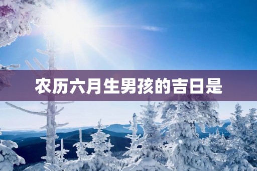 农历六月生男孩的吉日是