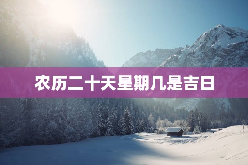 农历二十天星期几是吉日