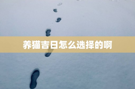 养猫吉日怎么选择的啊
