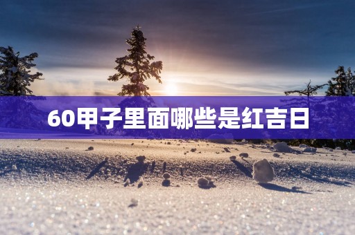 60甲子里面哪些是红吉日