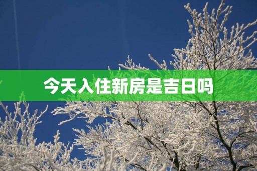 今天入住新房是吉日吗