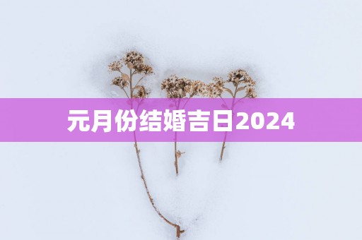 元月份结婚吉日2025