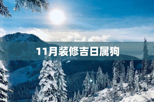 11月装修吉日属狗