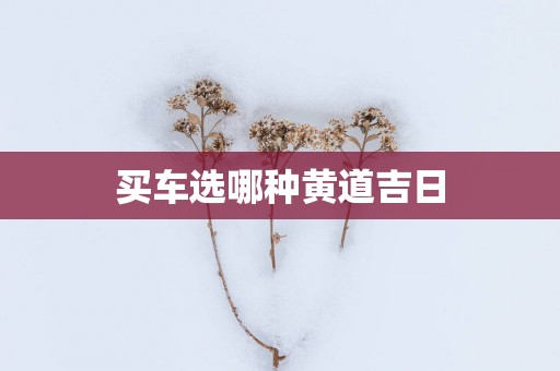 买车选哪种黄道吉日