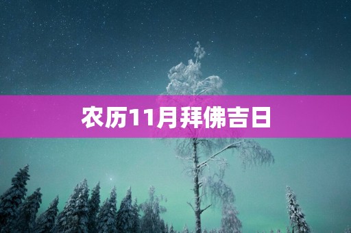 农历11月拜佛吉日