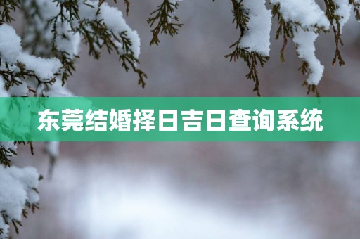 东莞结婚择日吉日查询系统