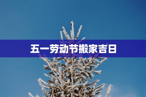 五一劳动节搬家吉日