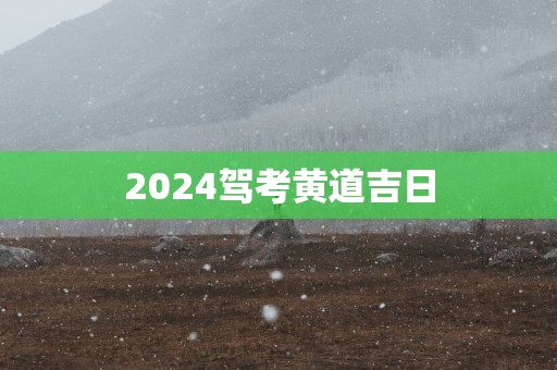 2025驾考黄道吉日