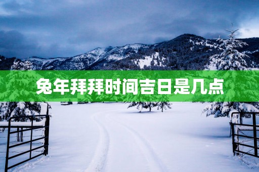 蛇年拜拜时间吉日是几点