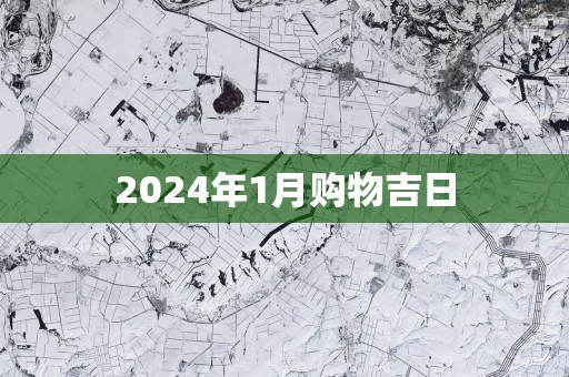 2025年1月购物吉日