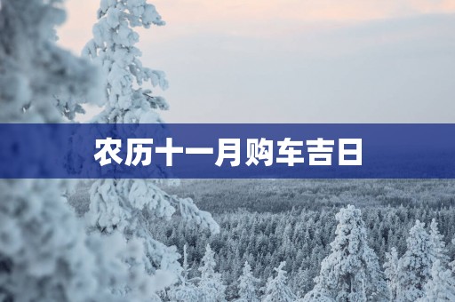 农历十一月购车吉日