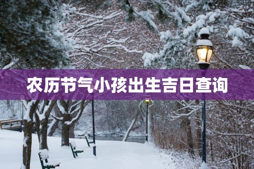 农历节气小孩出生吉日查询