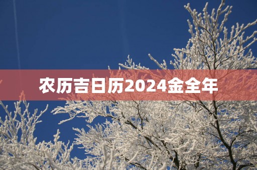 农历吉日历2025金全年