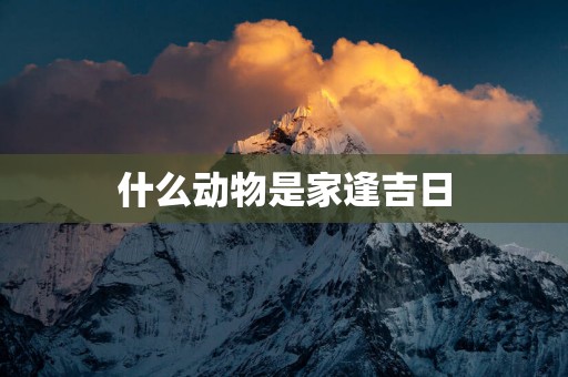 什么动物是家逢吉日