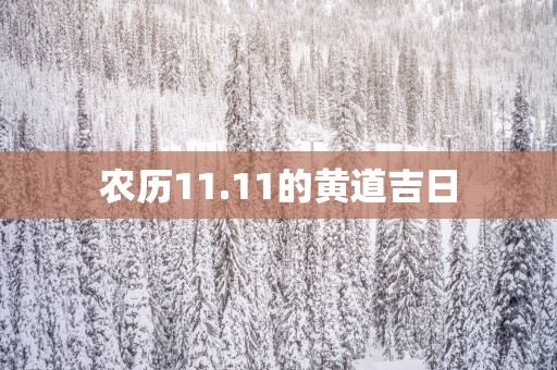 农历11.11的黄道吉日
