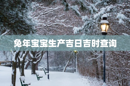 蛇年宝宝生产吉日吉时查询