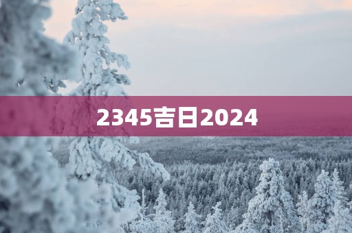 2345吉日2025