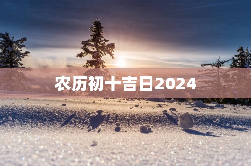 农历初十吉日2025