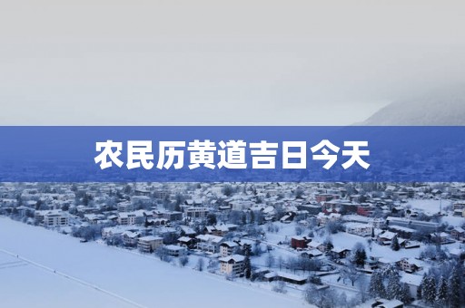 农民历黄道吉日今天