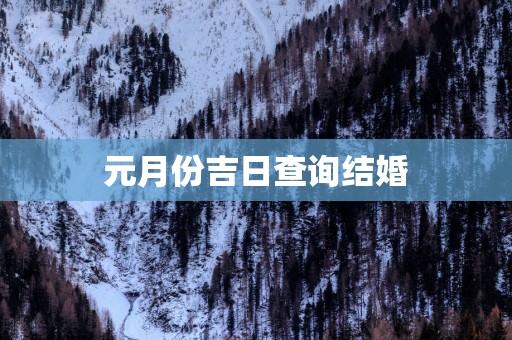 元月份吉日查询结婚