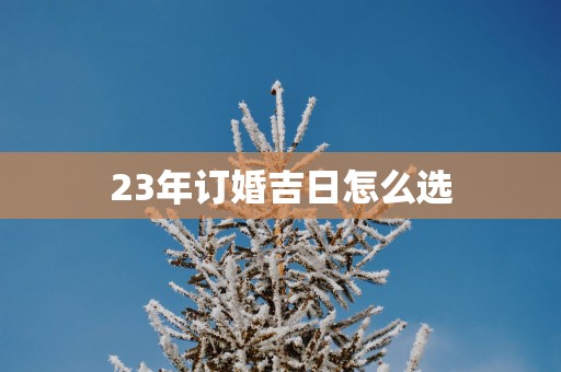 23年订婚吉日怎么选