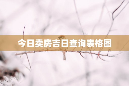 今日卖房吉日查询表格图