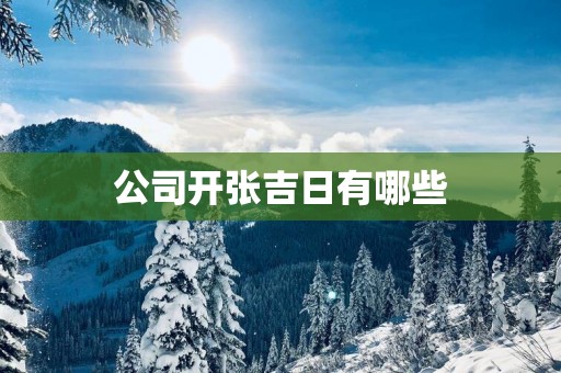 公司开张吉日有哪些