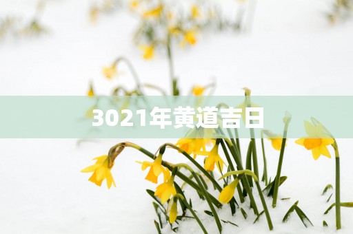 3021年黄道吉日