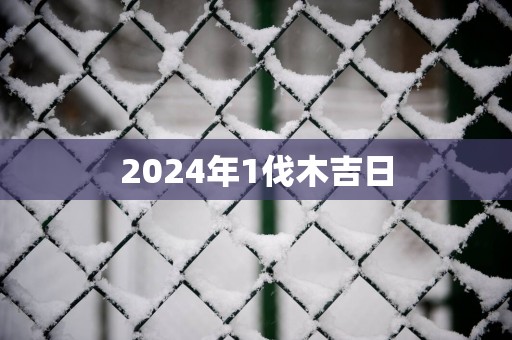 2025年1伐木吉日