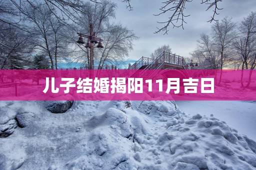 儿子结婚揭阳11月吉日