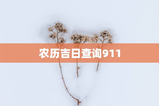 农历吉日查询911