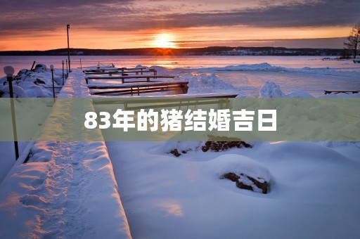 83年的猪结婚吉日