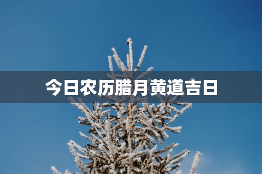 今日农历腊月黄道吉日