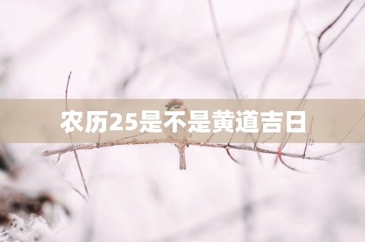农历25是不是黄道吉日