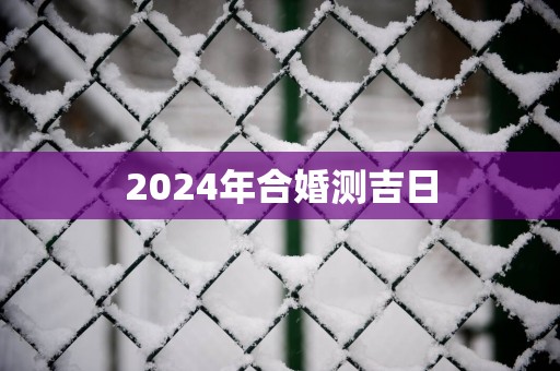 2025年合婚测吉日