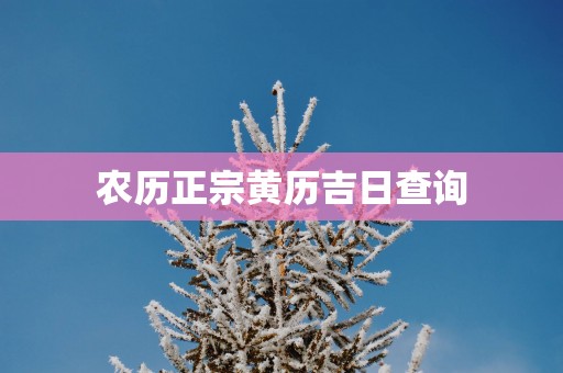 农历正宗黄历吉日查询