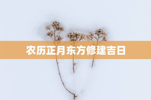 农历正月东方修建吉日