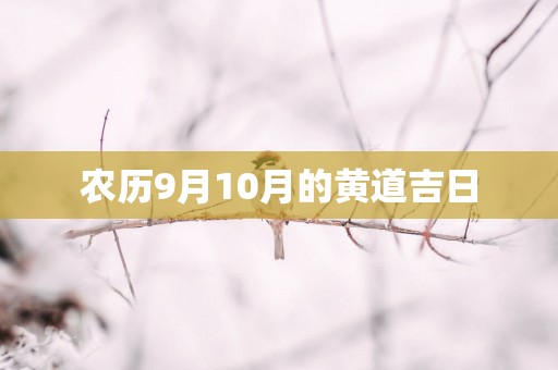 农历9月10月的黄道吉日