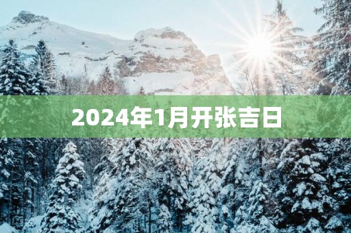2025年1月开张吉日