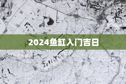 2025鱼缸入门吉日