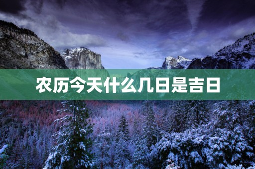 农历今天什么几日是吉日