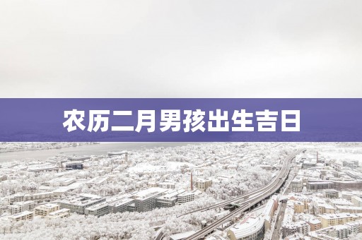农历二月男孩出生吉日