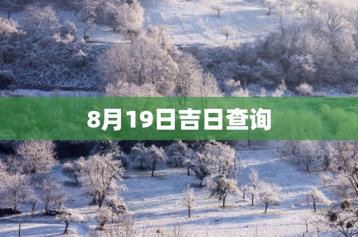 8月19日吉日查询