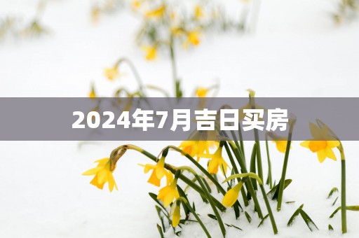 2025年7月吉日买房