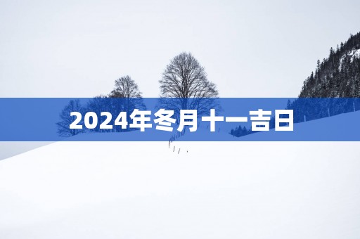 2025年冬月十一吉日